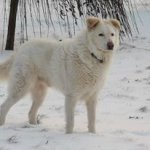 1711757637835.jpeg 1711757637835.jpeg