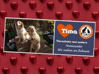 Tima.jpg